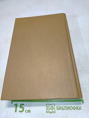 Рождение новой России. Петр Первый. Классовая борьба и общественно-политическая мысль в XVIII в. Под знаменем Крестьянской войны