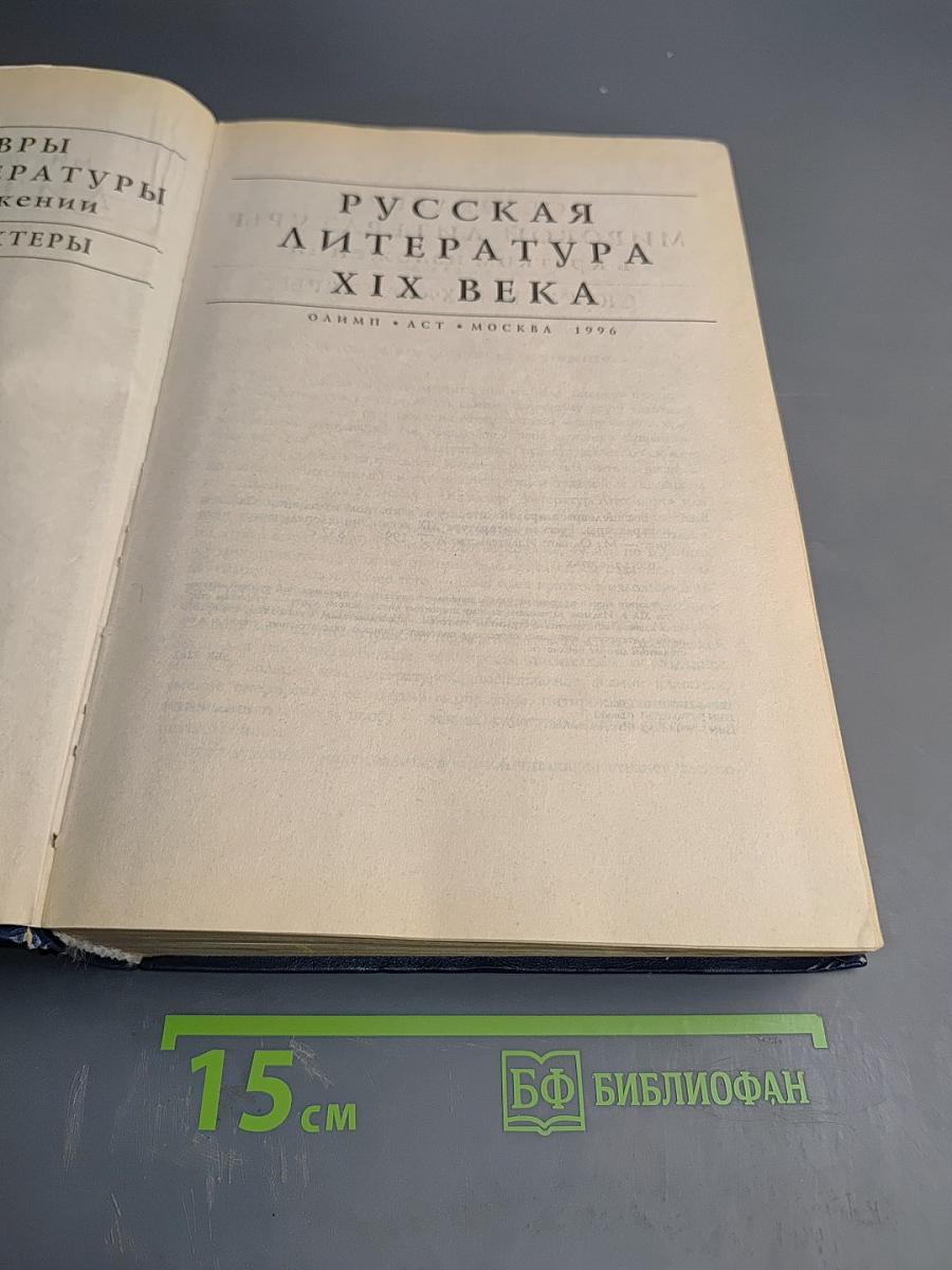 Все шедевры мировой литературы в кратком изложении. Сюжеты и характеры. Русская литература XIX века