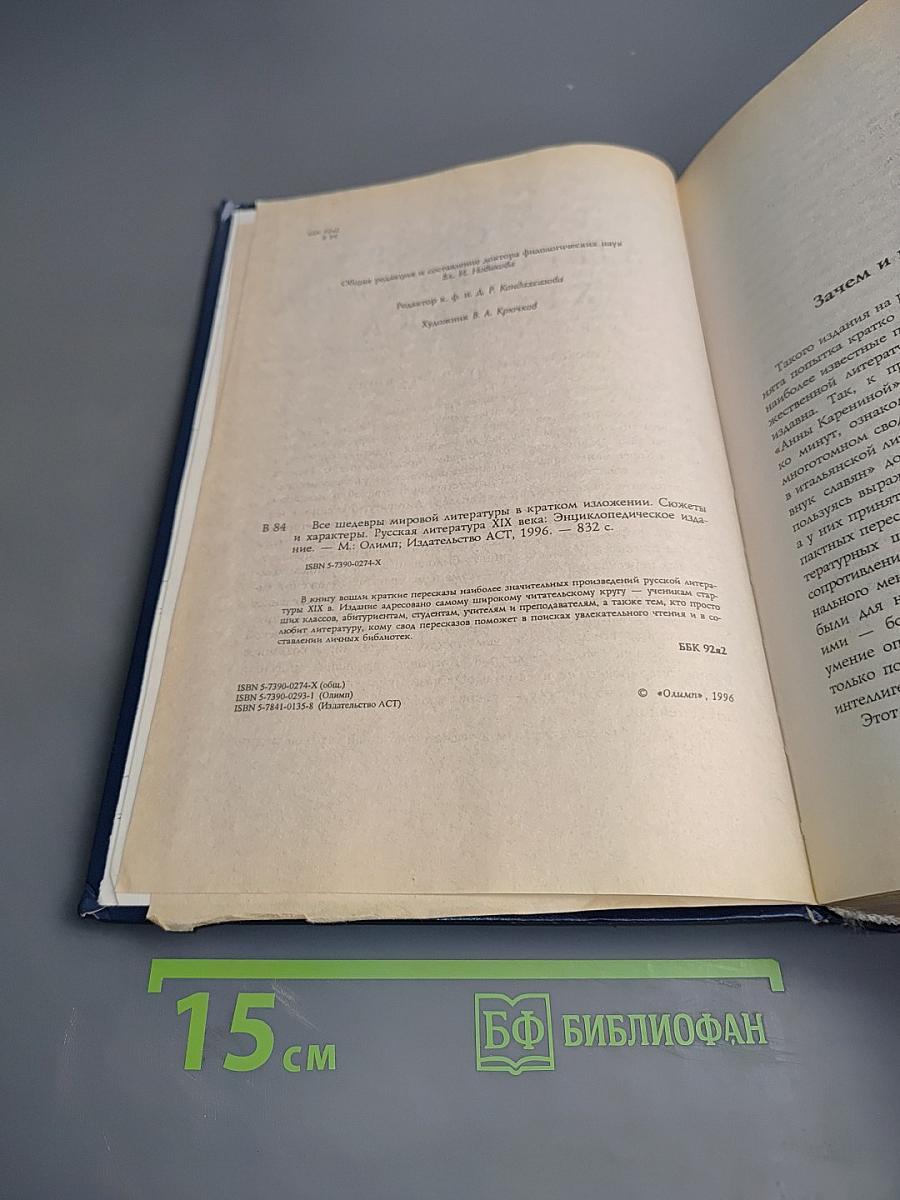 Все шедевры мировой литературы в кратком изложении. Сюжеты и характеры. Русская литература XIX века