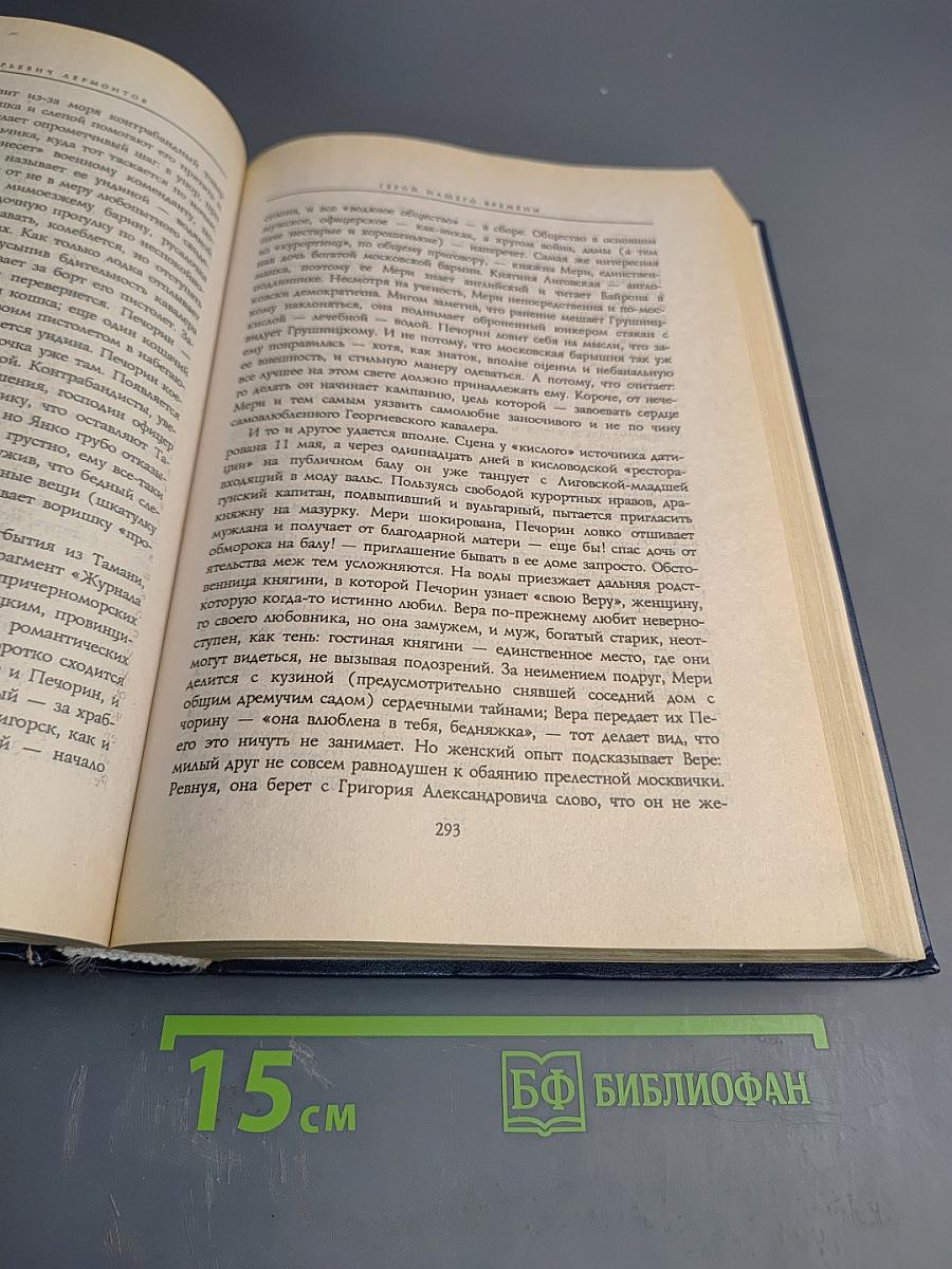 Все шедевры мировой литературы в кратком изложении. Сюжеты и характеры. Русская литература XIX века