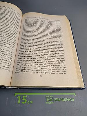 Все шедевры мировой литературы в кратком изложении. Сюжеты и характеры. Русская литература XIX века