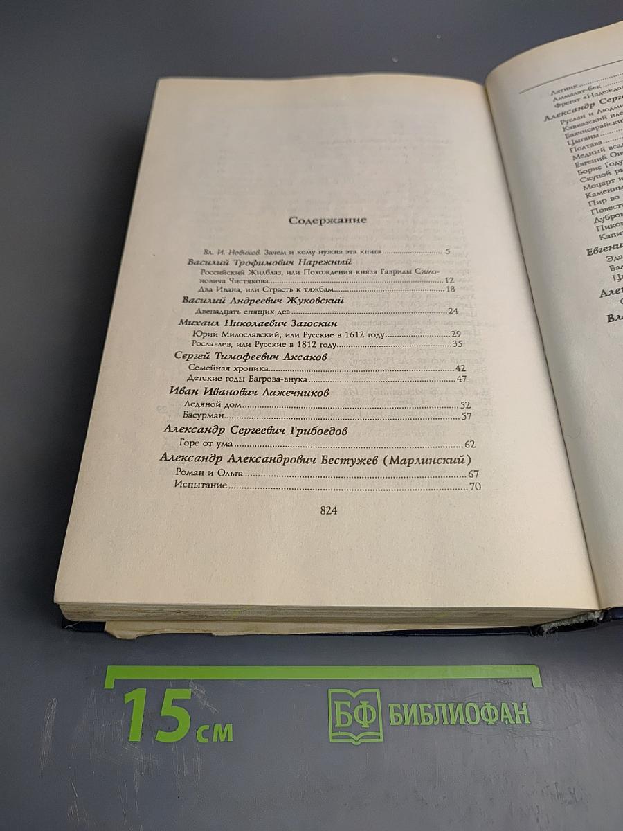 Все шедевры мировой литературы в кратком изложении. Сюжеты и характеры. Русская литература XIX века