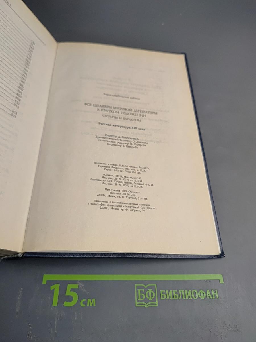 Все шедевры мировой литературы в кратком изложении. Сюжеты и характеры. Русская литература XIX века