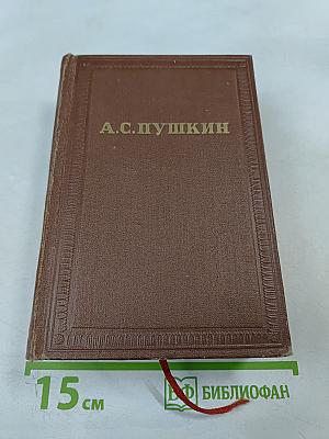 А.С. Пушкин. Том десятый. Письма