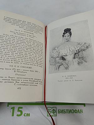 А.С. Пушкин. Том десятый. Письма