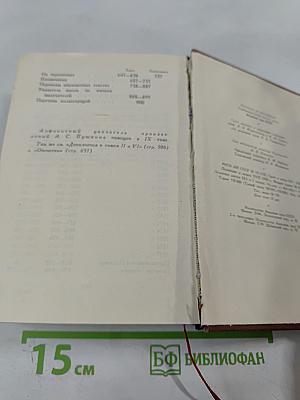 А.С. Пушкин. Том десятый. Письма