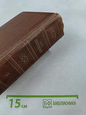 А.С. Пушкин. Том десятый. Письма