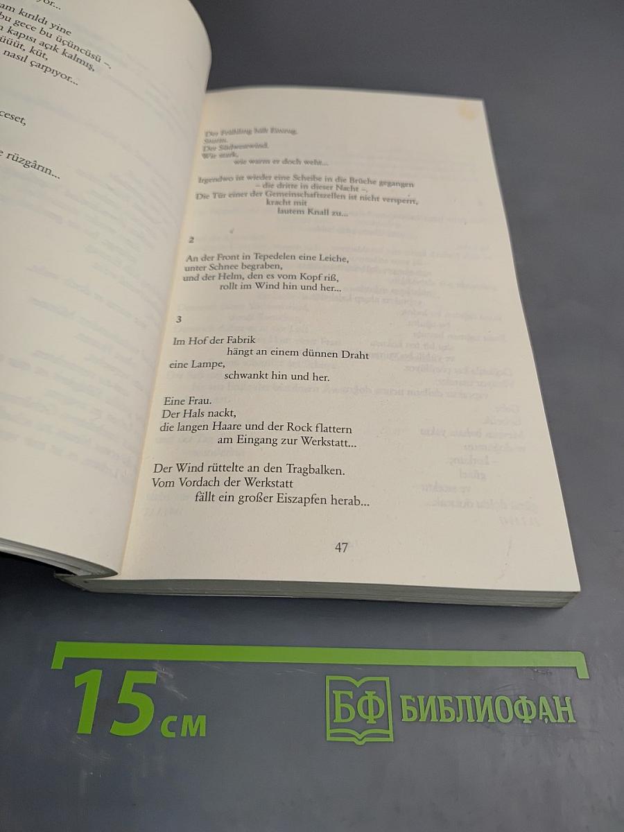 Das schönste Meer ist das noch nicht befahrene / En Güzel Deniz Henüz Gidilmemiş Olanıdır. Liebesgedichte