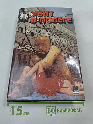 Убит в побеге
