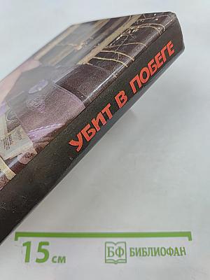 Убит в побеге