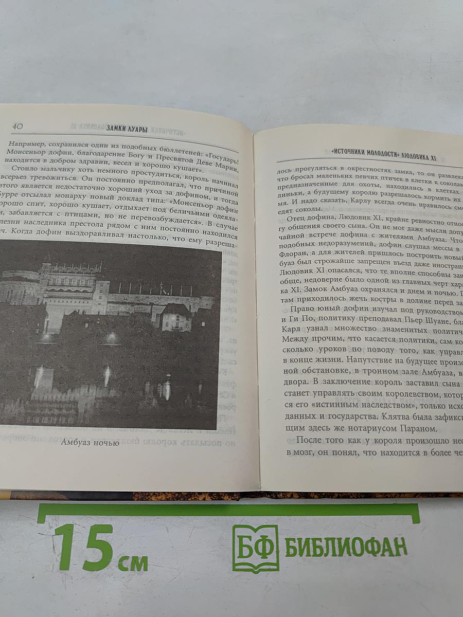 Замки Луары