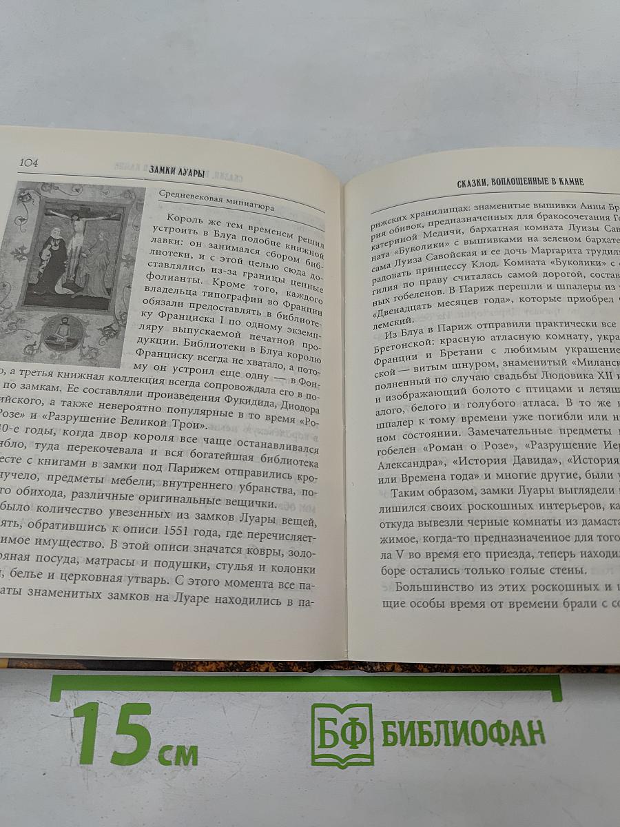 Замки Луары