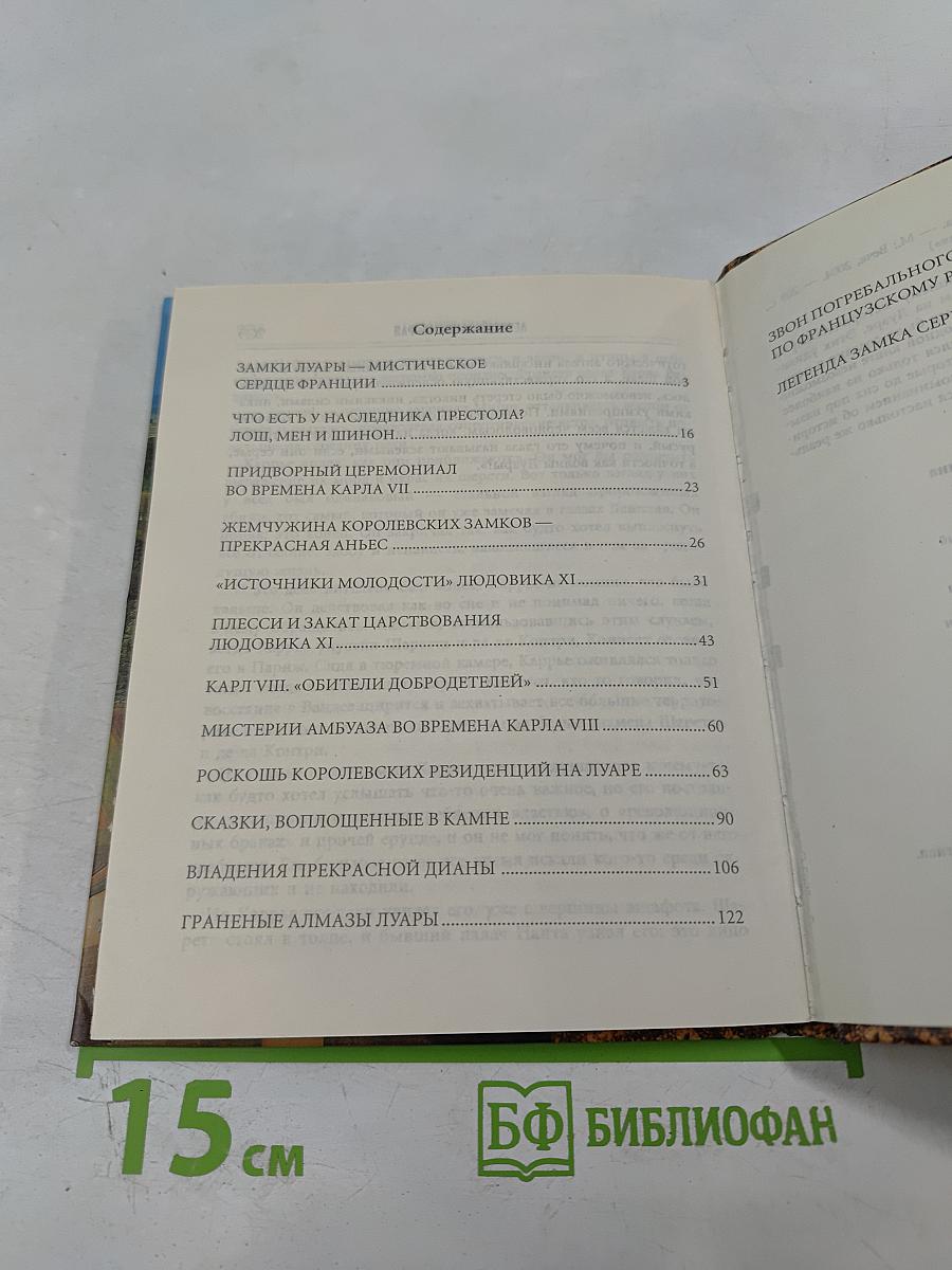 Замки Луары