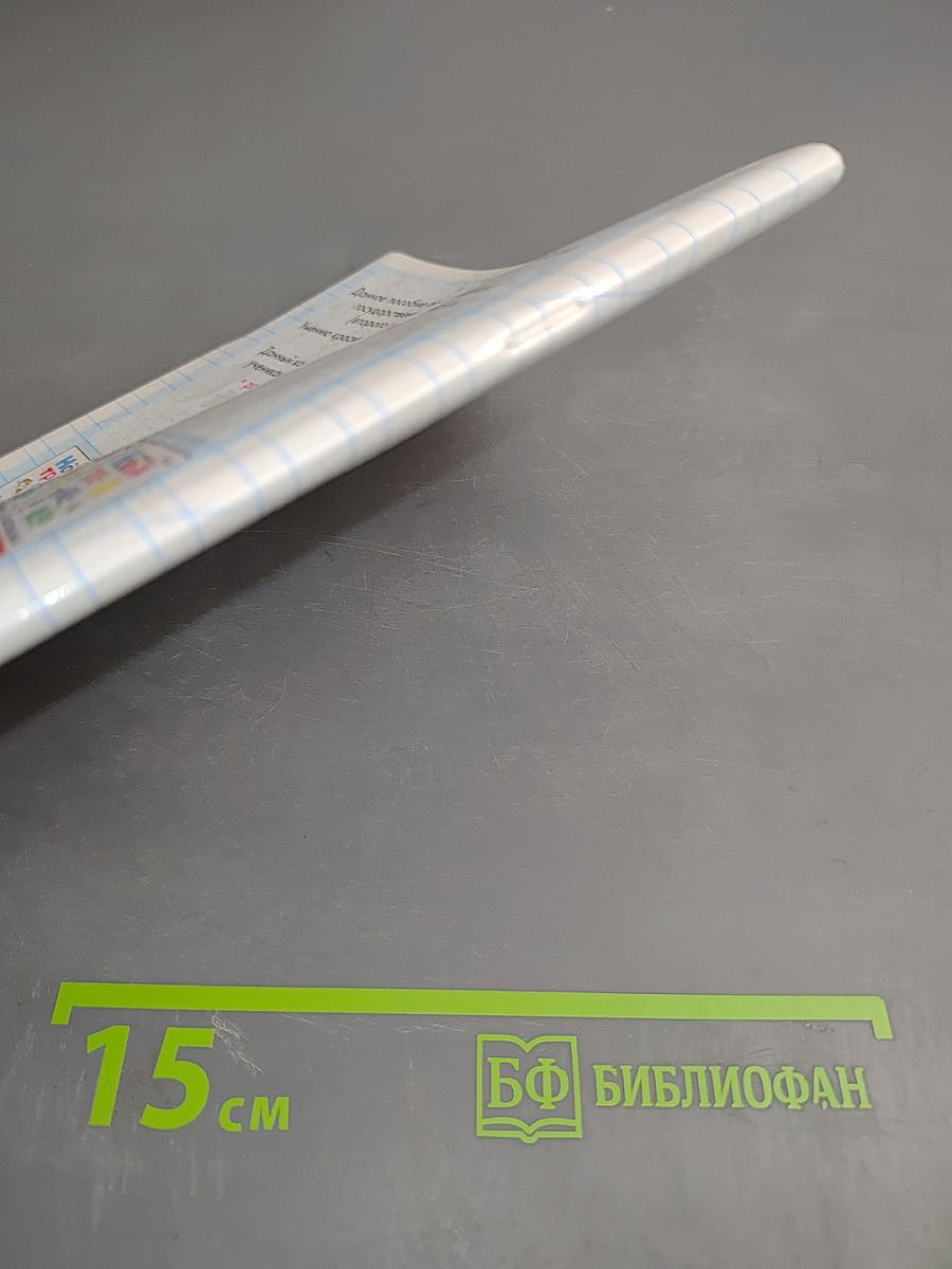 Новый тренажёр по чистописанию. Развиваем речь. 4 класс