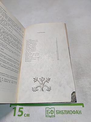 Ковыль-трава на Куликовом поле