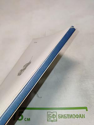 Ковыль-трава на Куликовом поле