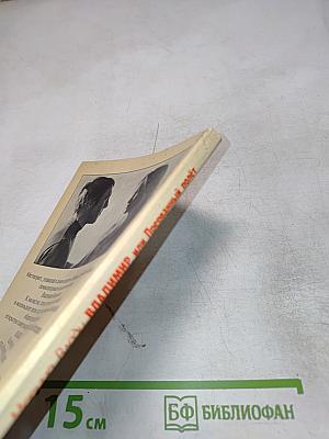 Владимир, или Прерванный полет