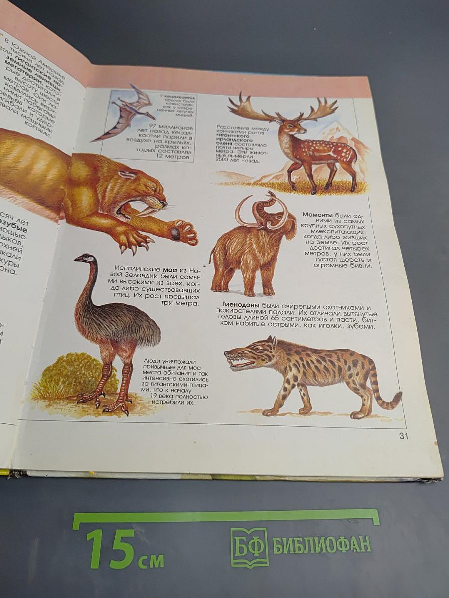 Животные. Страшилища и малютки