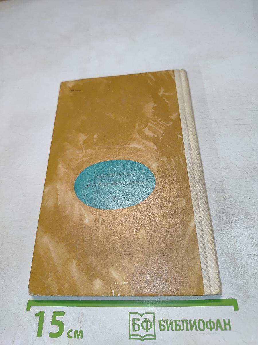 Дорожная дума