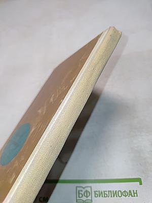 Дорожная дума