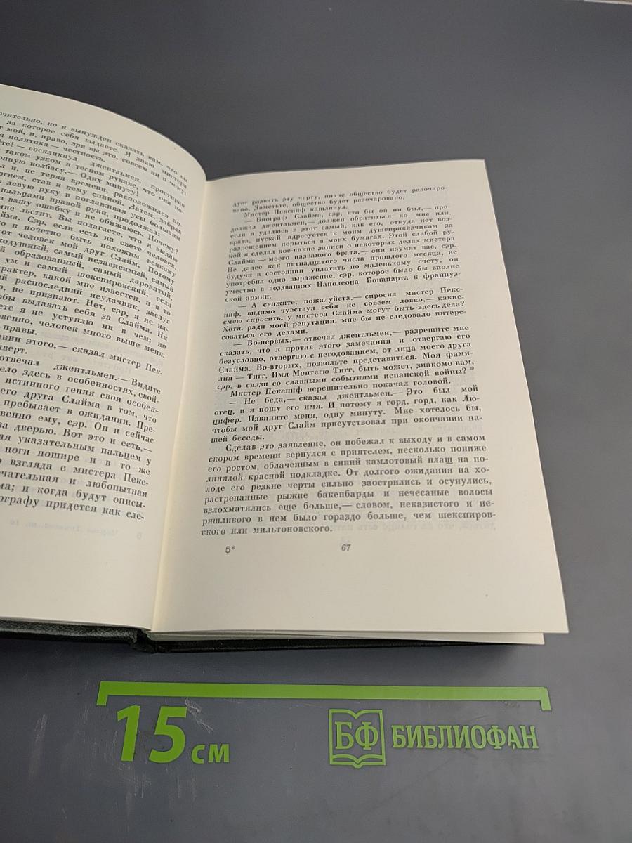 Собрание сочинений Том десятый. Жизнь и приключения Мартина Чезлвита