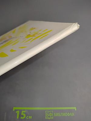 Кошка, которая гуляла сама по себе