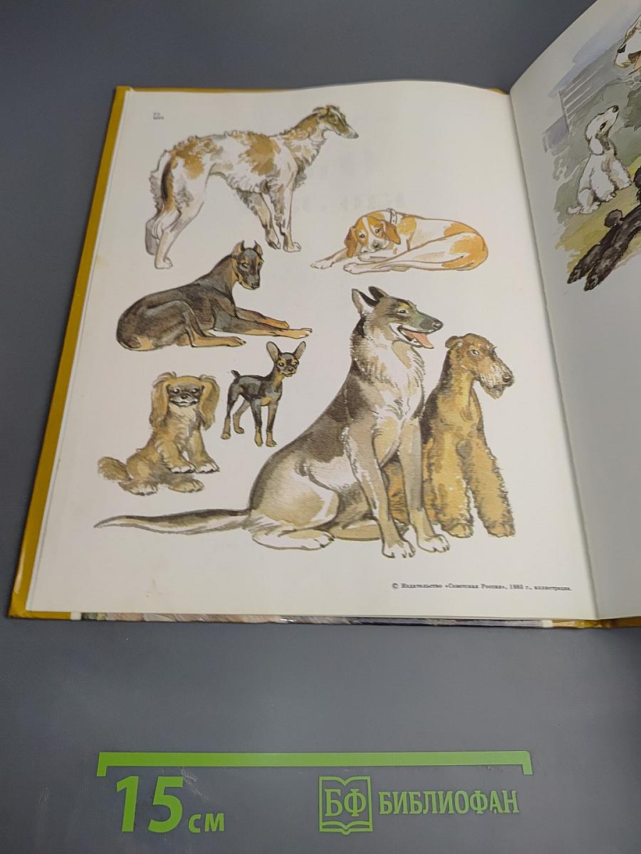 О тех, кто лает