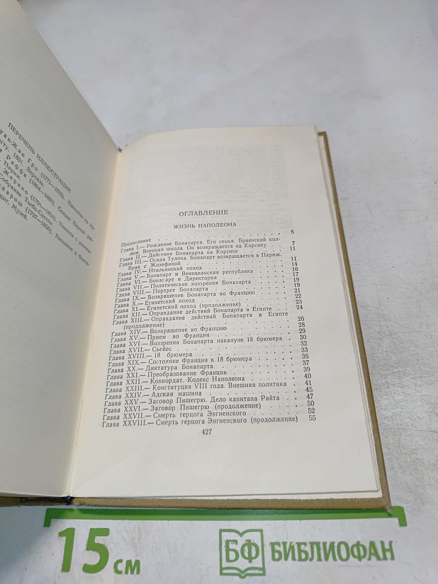 Собрание сочинений в пятнадцати томах. Том одиннадцатый. Жизнь Наполеона