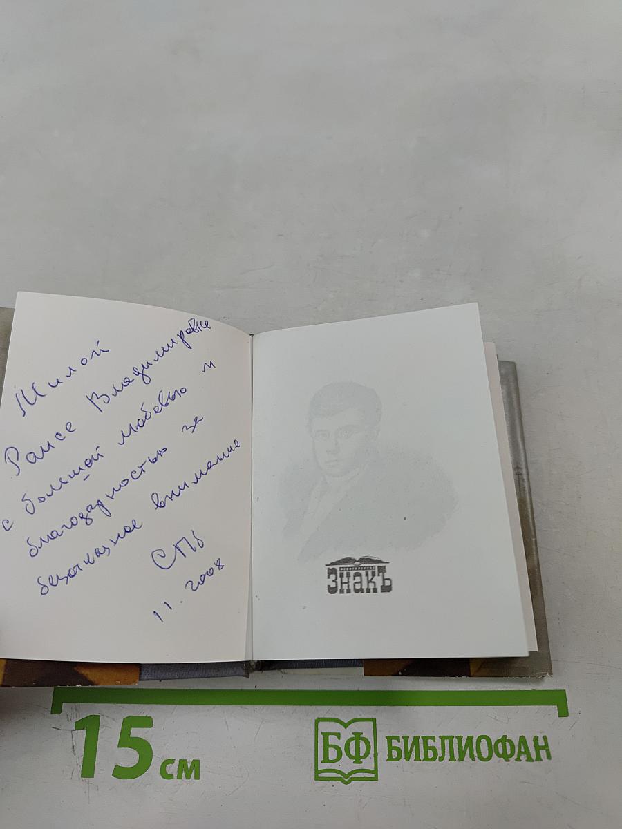 В дружеском кругу своем... (Вяземский в Петербурге)