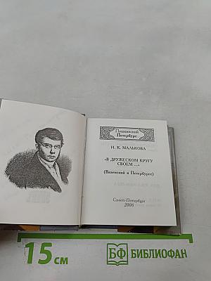 В дружеском кругу своем... (Вяземский в Петербурге)