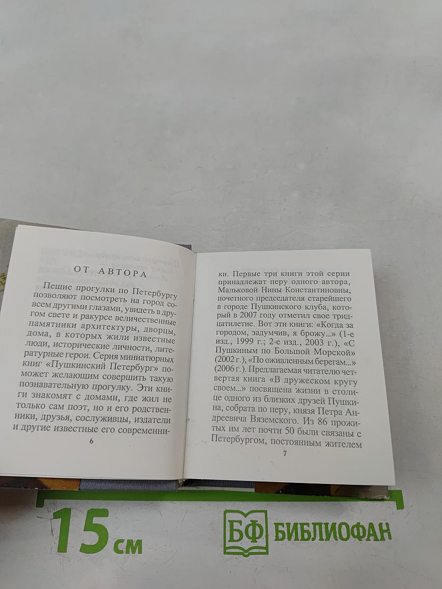 В дружеском кругу своем... (Вяземский в Петербурге)