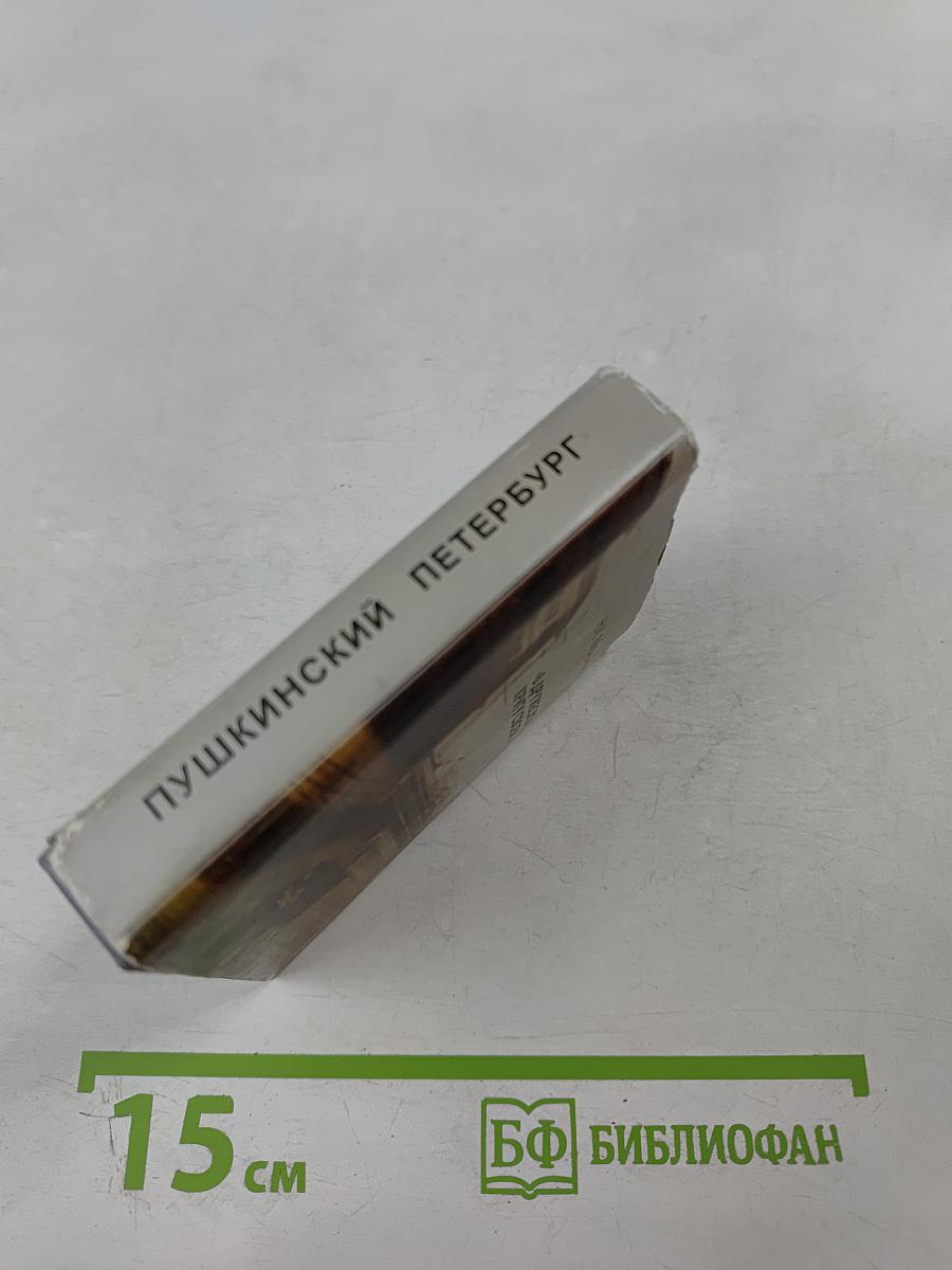 В дружеском кругу своем... (Вяземский в Петербурге)