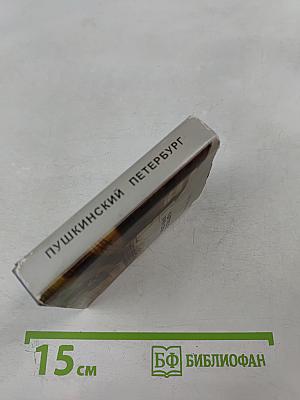 В дружеском кругу своем... (Вяземский в Петербурге)