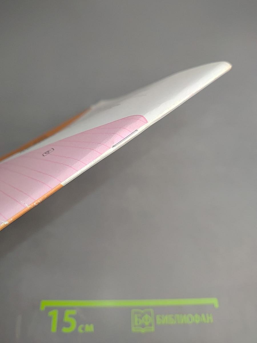 Русский язык. Проверочные работы. 3 класс