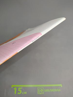 Русский язык. Проверочные работы. 3 класс