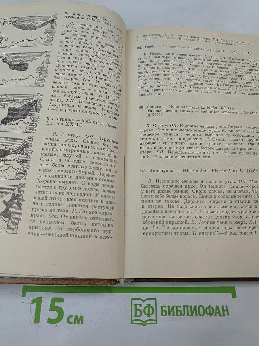 Птицы открытых и околоводных пространств СССР