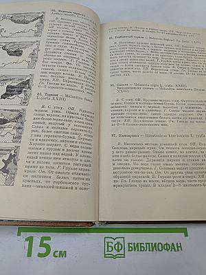 Птицы открытых и околоводных пространств СССР