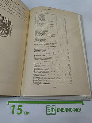 Рассказы и сказки