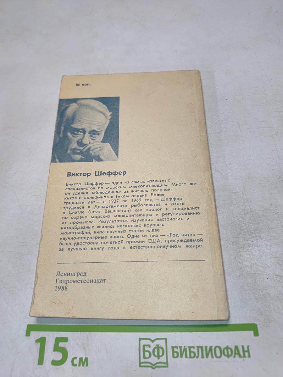 Год кита