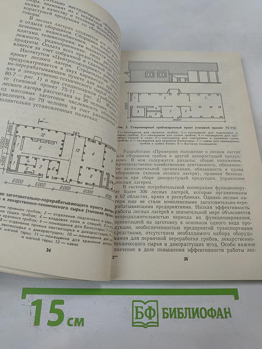 Товароведение дикорастущих плодов, ягод и лекарственно-технического сырья