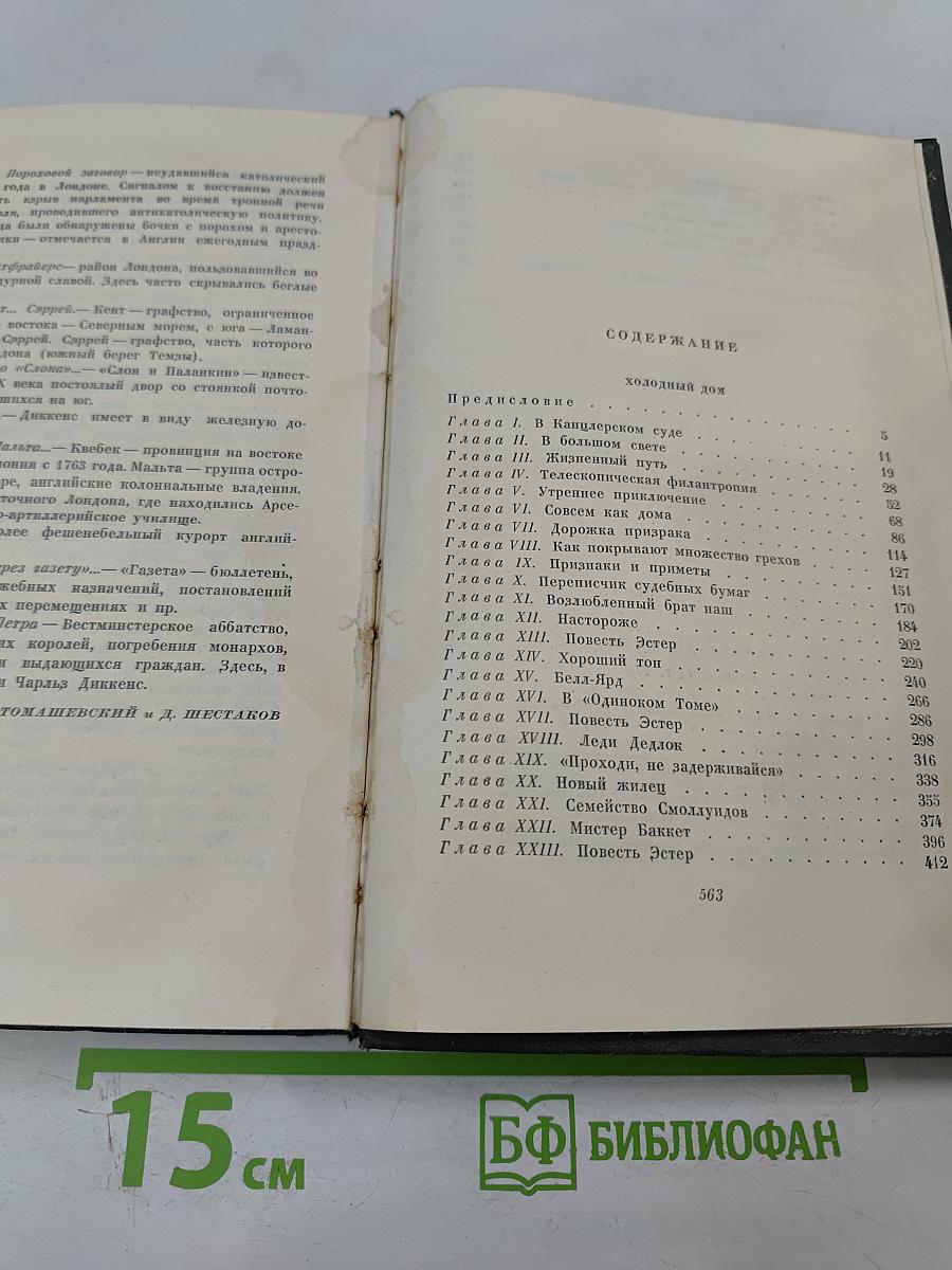 Холодный дом. Собрание сочинений. Том семнадцатый