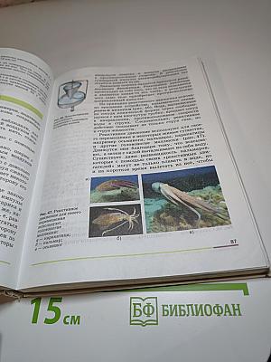 Физика 9 класс