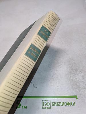 Война и мир. Том третий