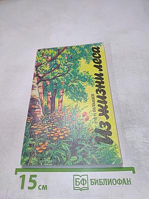 Из жизни леса