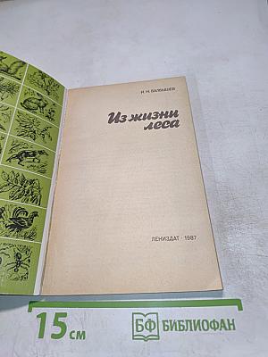 Из жизни леса