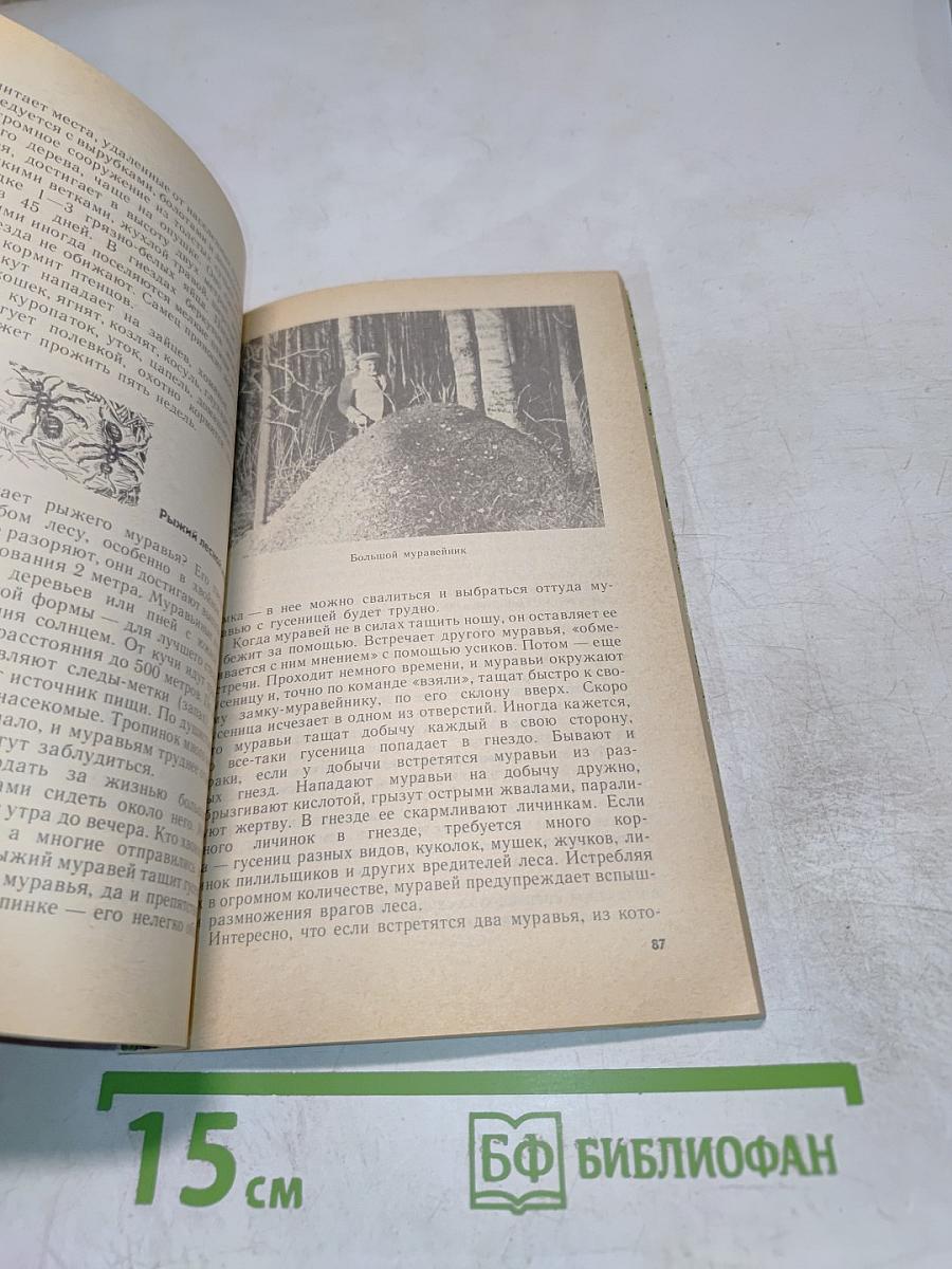 Из жизни леса