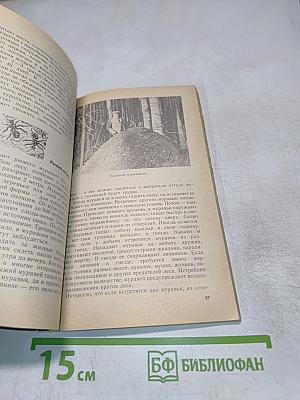 Из жизни леса