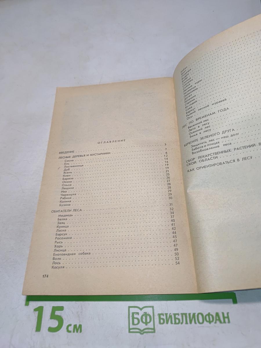 Из жизни леса