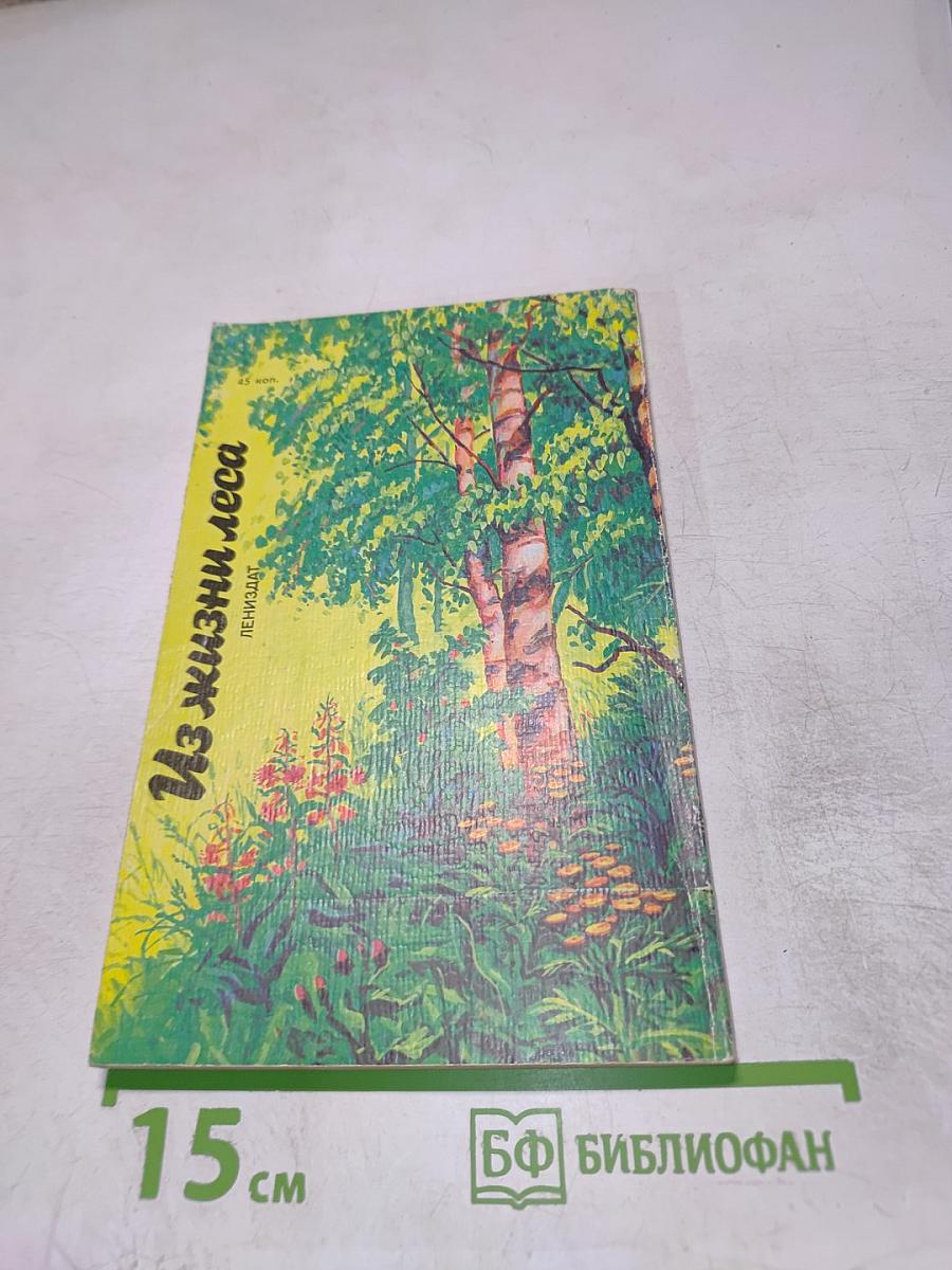 Из жизни леса