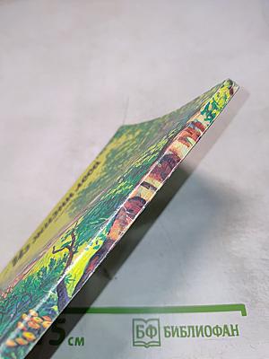 Из жизни леса